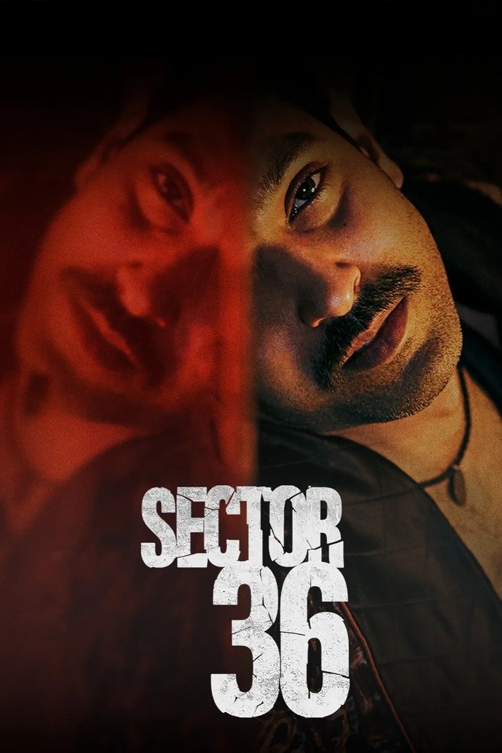 Sector 36 (2024) poster - Allmovieland.com